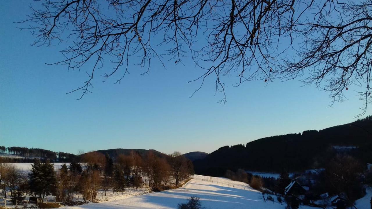 Berghotel Natura Bed & Breakfast Winterberg Eksteriør bilde